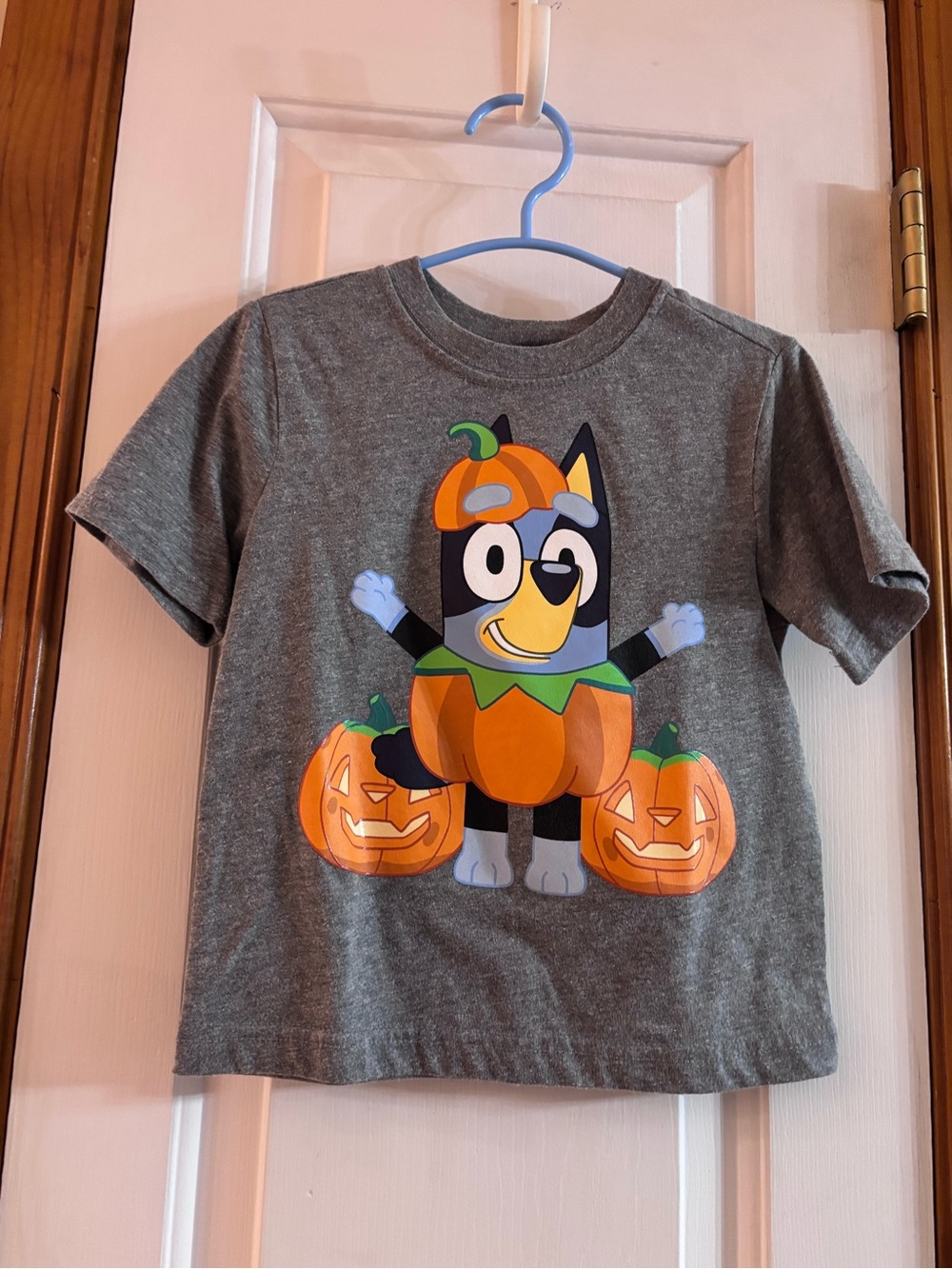 EUC Toddler Boy’s Grey Kids Halloween T-Shirt with Bluey Pumpkin Size 4T